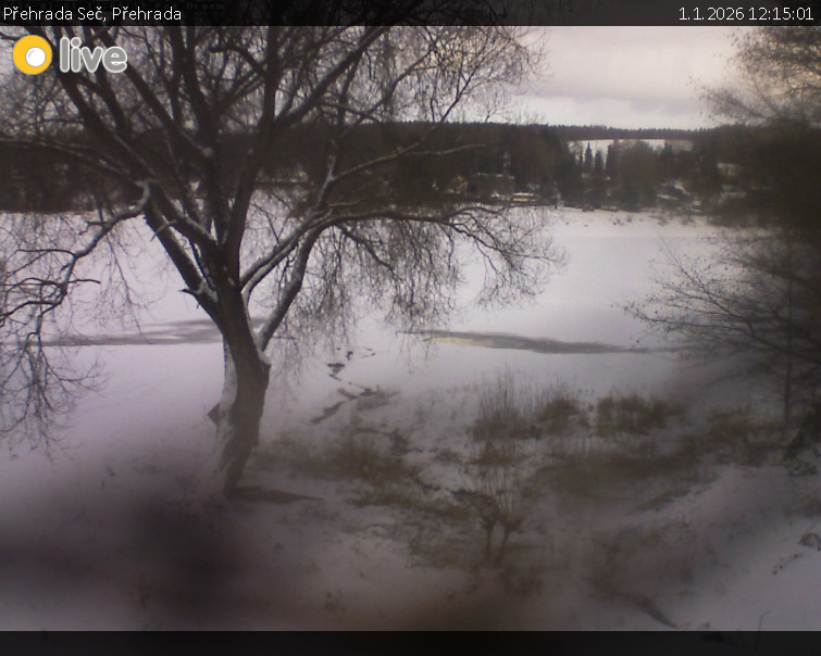 Přehrada Seč - Přehrada - 1.1.2026 v 12:15