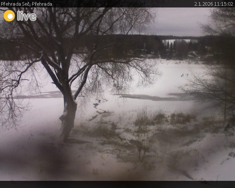 Přehrada Seč - Přehrada - 2.1.2026 v 11:15