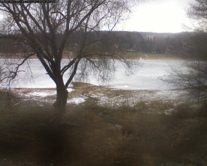 Přehrada Seč - Přehrada - 27.1.2026 v 09:45 Přehrada Seč - Přehrada - 27.1.2026 v 09:45