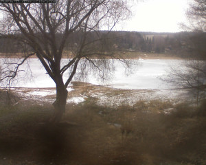 Přehrada Seč - Přehrada - 27.1.2026 v 10:45 Přehrada Seč - Přehrada - 27.1.2026 v 10:45