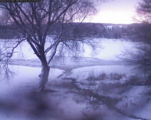 Přehrada Seč - Přehrada - 19.2.2026 v 06:45 Přehrada Seč - Přehrada - 19.2.2026 v 06:45