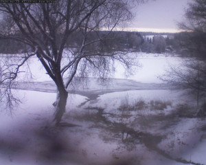 Přehrada Seč - Přehrada - 19.2.2026 v 07:32