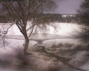 Přehrada Seč - Přehrada - 19.2.2026 v 11:15