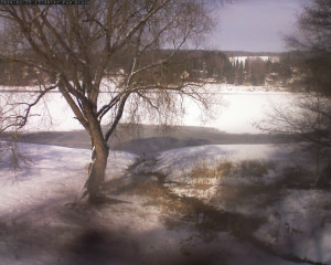 Přehrada Seč - Přehrada - 19.2.2026 v 13:45