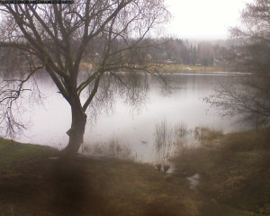 Přehrada Seč - Přehrada - 12.3.2026 v 09:45