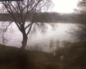 Přehrada Seč - Přehrada - 12.3.2026 v 11:45