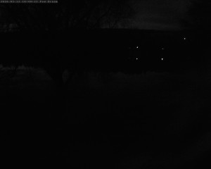 Přehrada Seč - Přehrada - 12.3.2026 v 18:45