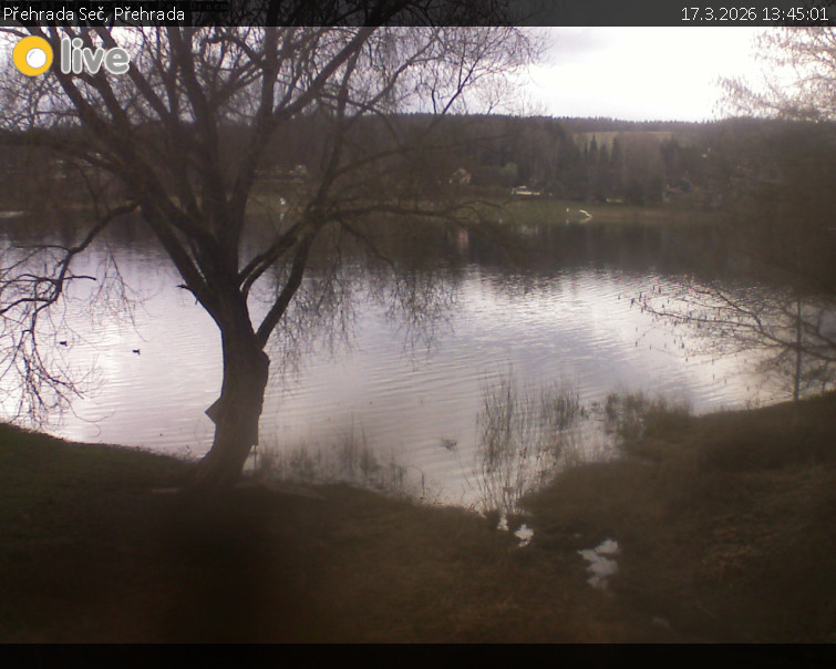 Přehrada Seč - Přehrada - 17.3.2026 v 13:45