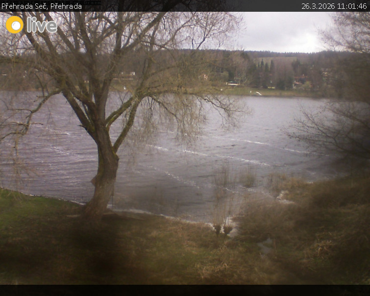 Přehrada Seč - Přehrada - 26.3.2026 v 11:01