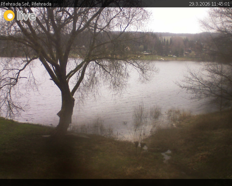 Přehrada Seč - Přehrada - 29.3.2026 v 11:45