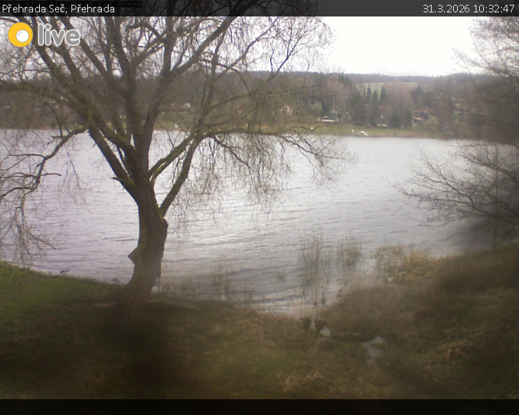 Přehrada Seč - Přehrada - 31.3.2026 v 10:32