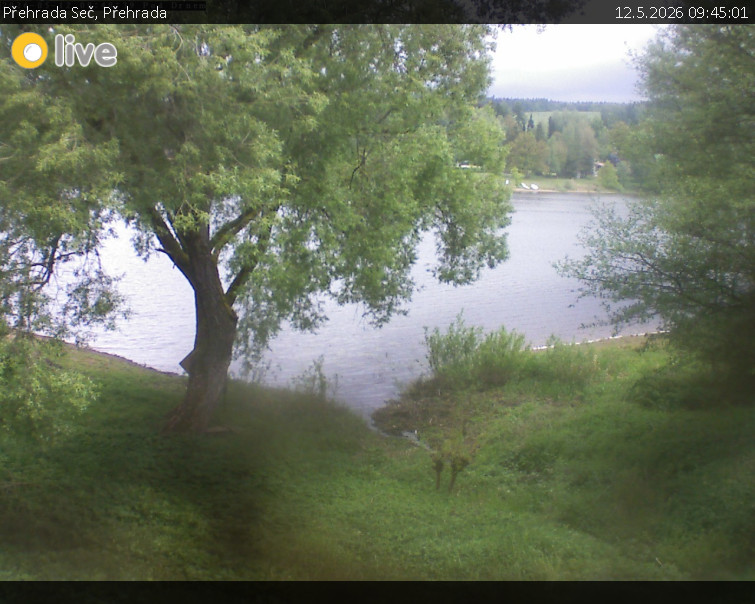Přehrada Seč - Přehrada - 12.5.2026 v 09:45
