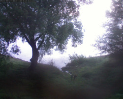 Přehrada