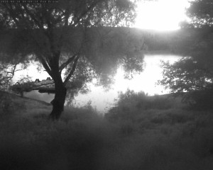 Přehrada Seč - Přehrada - 16.6.2026 v 04:02