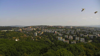 Snímek    15.8.2025 v 13:01