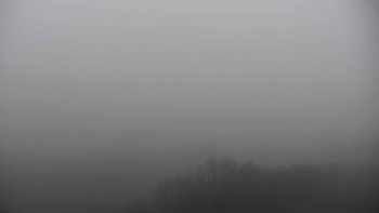 Snímek 17.11.2025 v 08:01