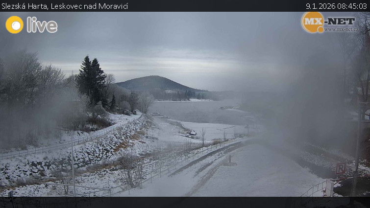Slezská Harta - Leskovec nad Moravicí - 9.1.2026 v 08:45