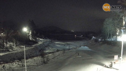 Leskovec nad Moravicí