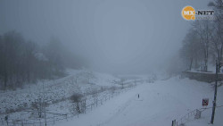 Leskovec nad Moravicí