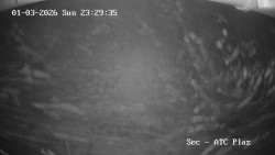 Autokemp Seč Pláž