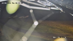 Přehrada Seč - Autokemp Seč Pláž - 4.6.2026 v 00:45