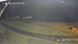 Přehrada Seč - Autokemp Seč Pláž - 11.6.2026 v 02:30