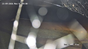 Přehrada Seč - Autokemp Seč Pláž - 21.9.2026 v 03:45 Přehrada Seč - Autokemp Seč Pláž - 21.9.2026 v 03:45