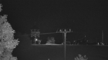 Snímek    13.9.2025 v 22:25