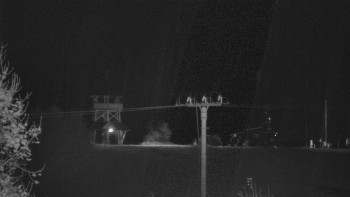 Snímek    19.10.2025 v 03:40