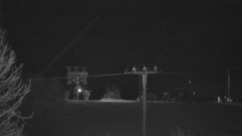 Snímek    26.10.2025 v 00:35