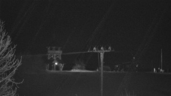 Snímek    26.10.2025 v 00:45