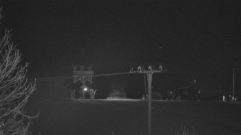 Snímek    28.10.2025 v 20:15