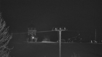 Snímek    2.11.2025 v 04:45