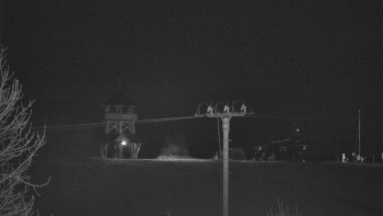 Snímek    2.11.2025 v 05:05