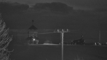 Snímek    2.11.2025 v 17:40