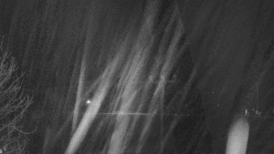 Skiareál Troják - Troják, Maruška - Meteostanice - 3.11.2025 v 04:55