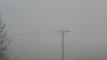 Snímek    14.11.2025 v 10:05