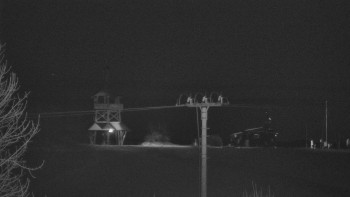 Snímek    18.11.2025 v 19:50