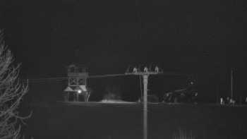 Snímek    19.11.2025 v 19:25