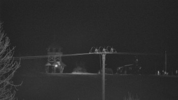 Snímek 21.11.2025 v 03:10