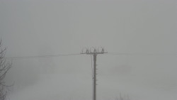 Troják, Maruška - Meteostanice