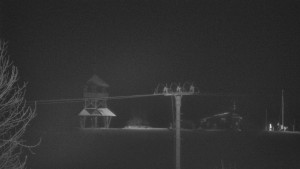 Skiareál Troják - Troják, Maruška - Meteostanice - 17.2.2026 v 00:50 Skiareál Troják - Troják, Maruška - Meteostanice - 17.2.2026 v 00:50