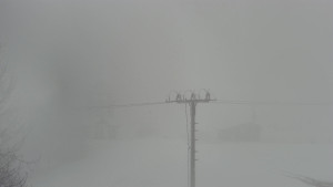 Skiareál Troják - Troják, Maruška - Meteostanice - 26.3.2026 v 08:10 Skiareál Troják - Troják, Maruška - Meteostanice - 26.3.2026 v 08:10