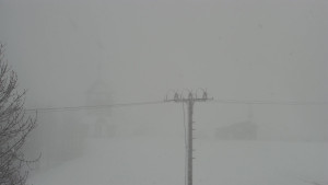 Skiareál Troják - Troják, Maruška - Meteostanice - 26.3.2026 v 10:20 Skiareál Troják - Troják, Maruška - Meteostanice - 26.3.2026 v 10:20