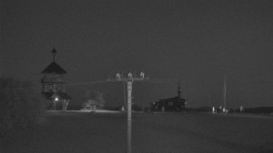 Skiareál Troják - Troják, Maruška - Meteostanice - 31.7.2026 v 03:55