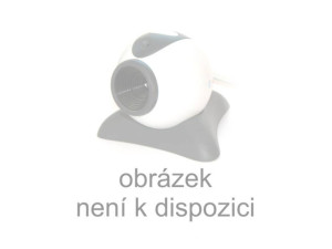 Městečko Poreč - Historické centrum, Eufrazijova bazilika - 13.5.2025 v 10:00