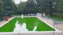 Bazén