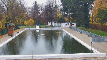 Snímek 8.11.2025 v 12:15