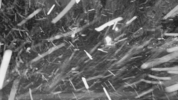 Koupaliště Bystřice pod...