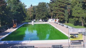Koupaliště Bystřice pod Hostýnem - Bazén - 16.9.2026 v 09:45 Koupaliště Bystřice pod Hostýnem - Bazén - 16.9.2026 v 09:45
